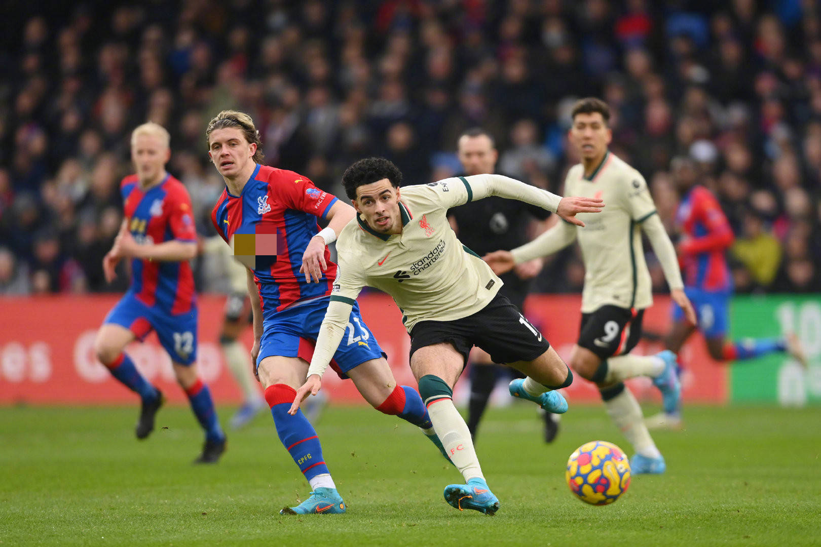 从过去的案 从过去的案