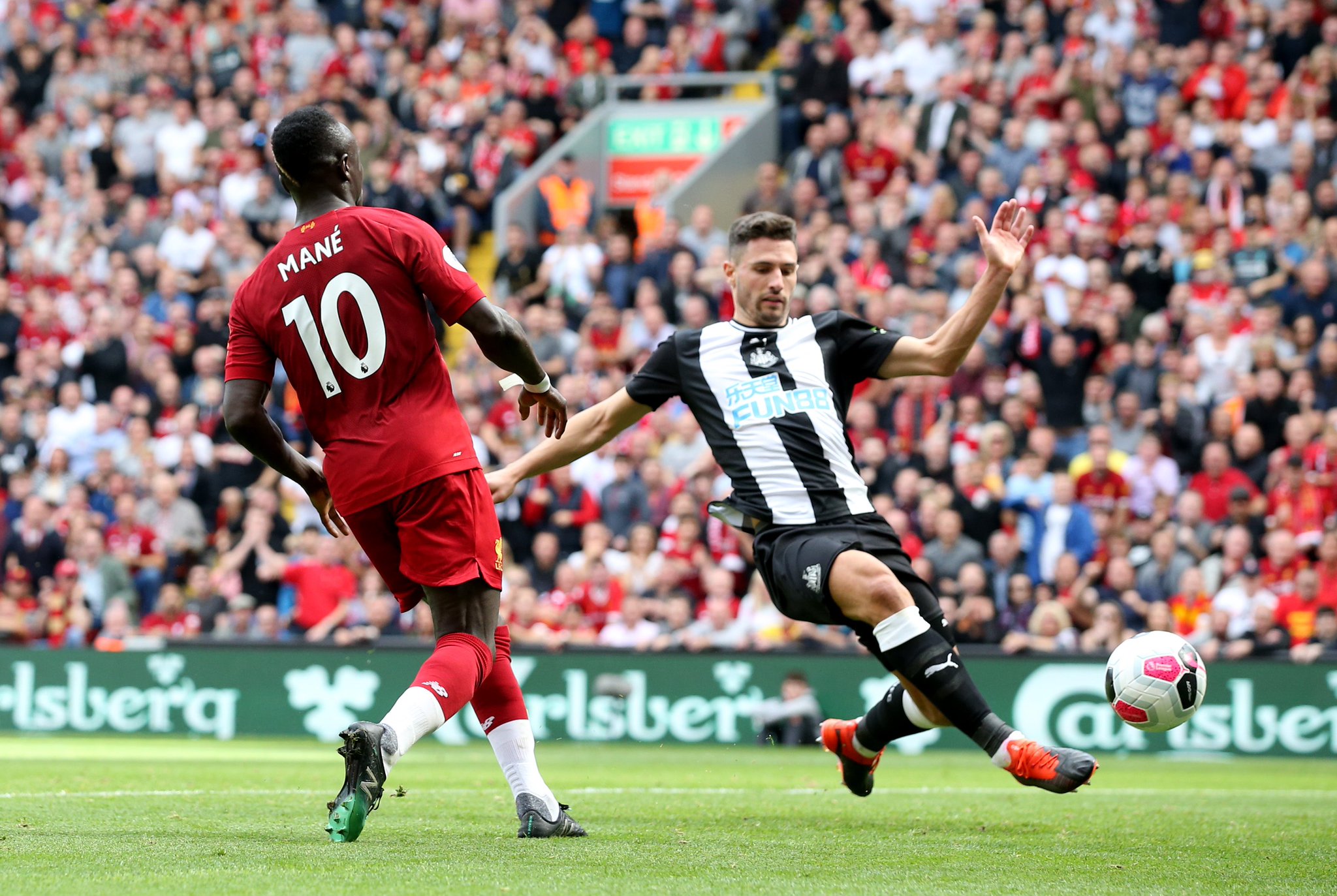 新加入的霍 新加入的霍